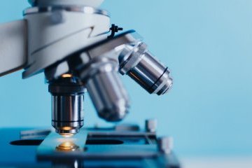 Россия: «И люди сыты, и овцы целы»: новости науки Россия: «И люди сыты, и овцы целы»: новости науки